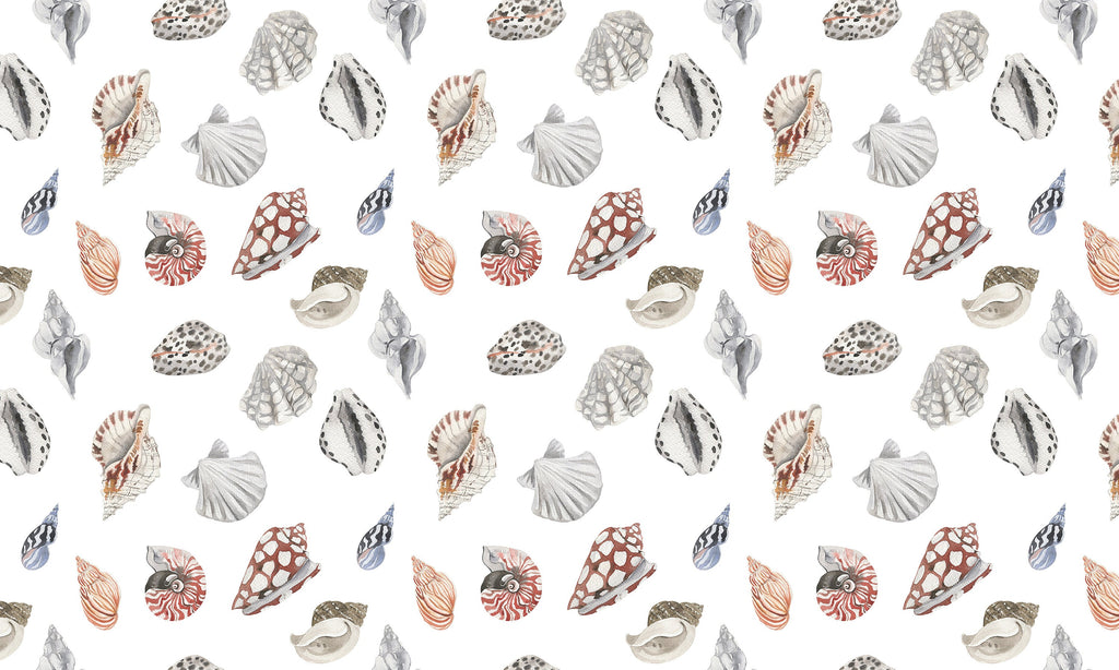 Sea Shells Wallpaper