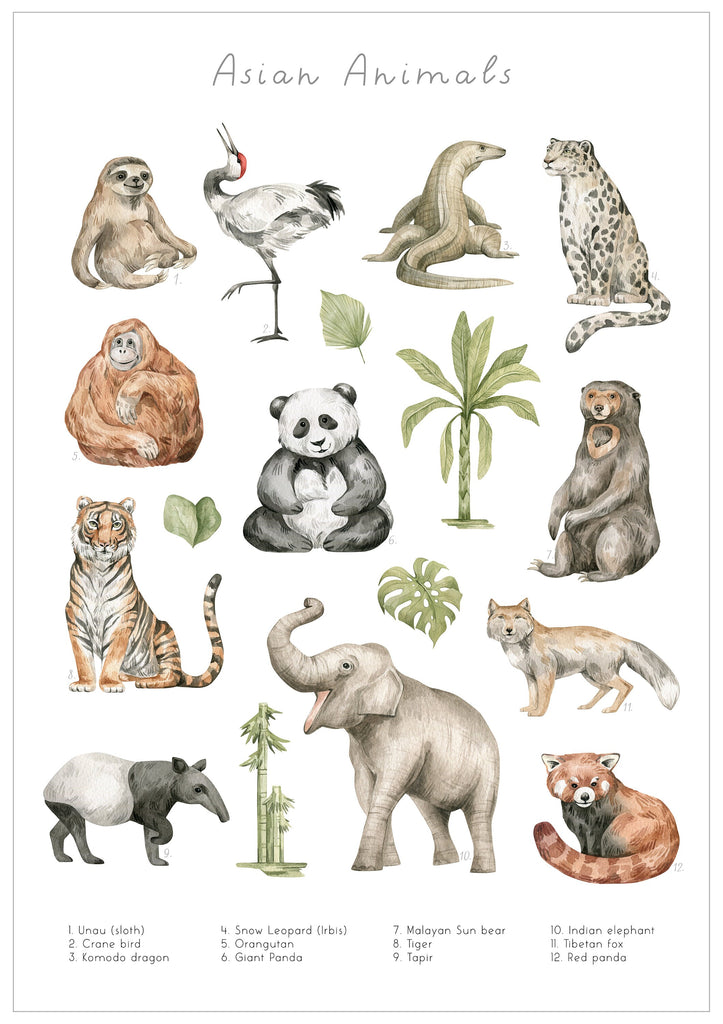 Asian Animals Art Print, Educational Wall Prints, Watercolour Wall Art, Children's Bedroom Art, Kid's Art, Art Prints, Nursery Art