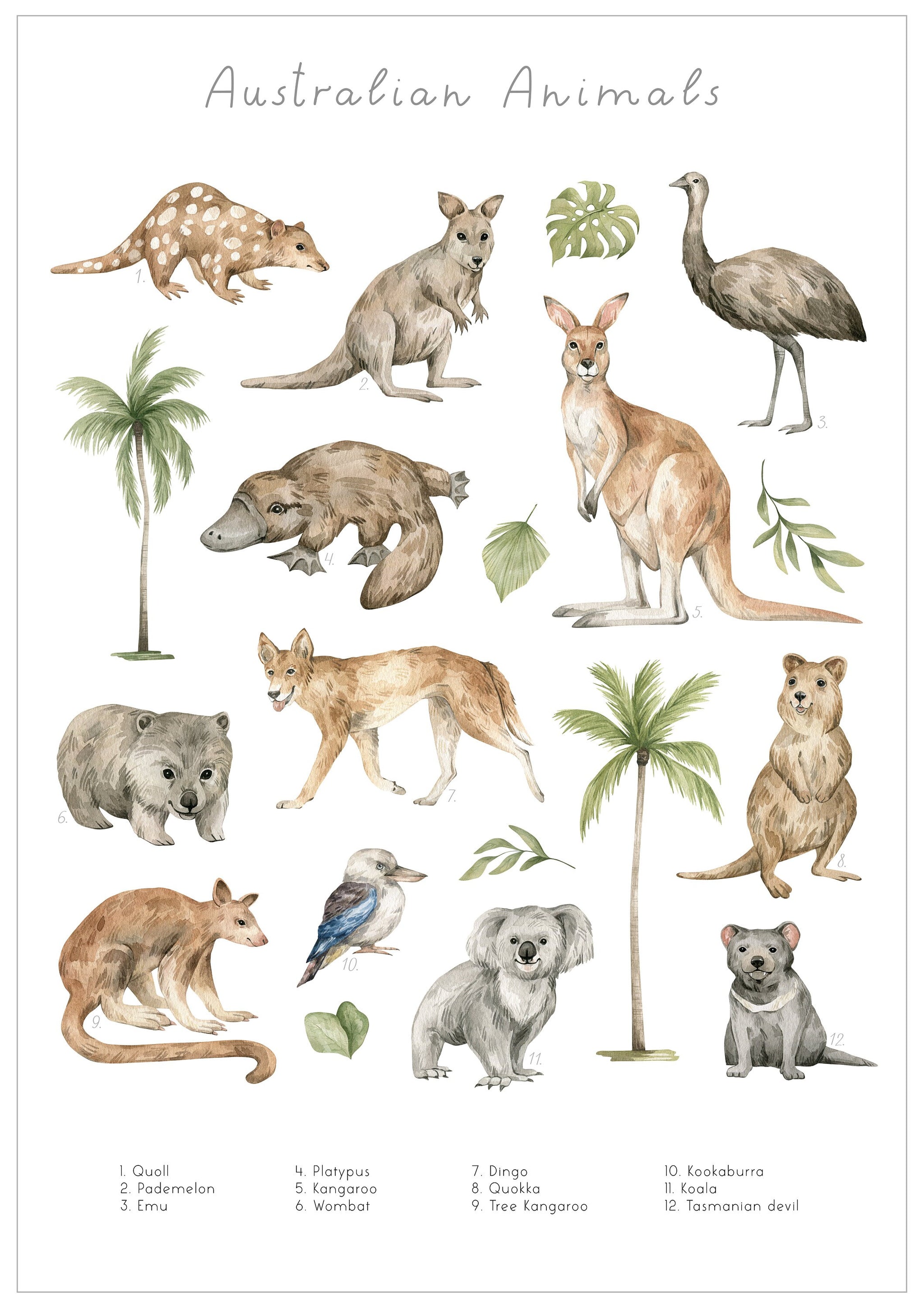 絵本・英語　Australian Animals 71VdO4kcgSL._UF1000,1000_QL80_.jpg